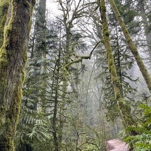 Meet your Posher, Malcolm